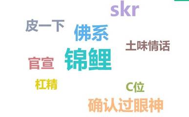 r什么意思网络用语
