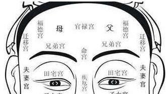 额头有疤痕的女孩命运