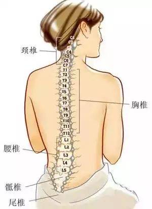 后背颈椎疼是怎么回事
