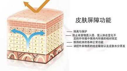 敏感肌脸上总是小痘痘