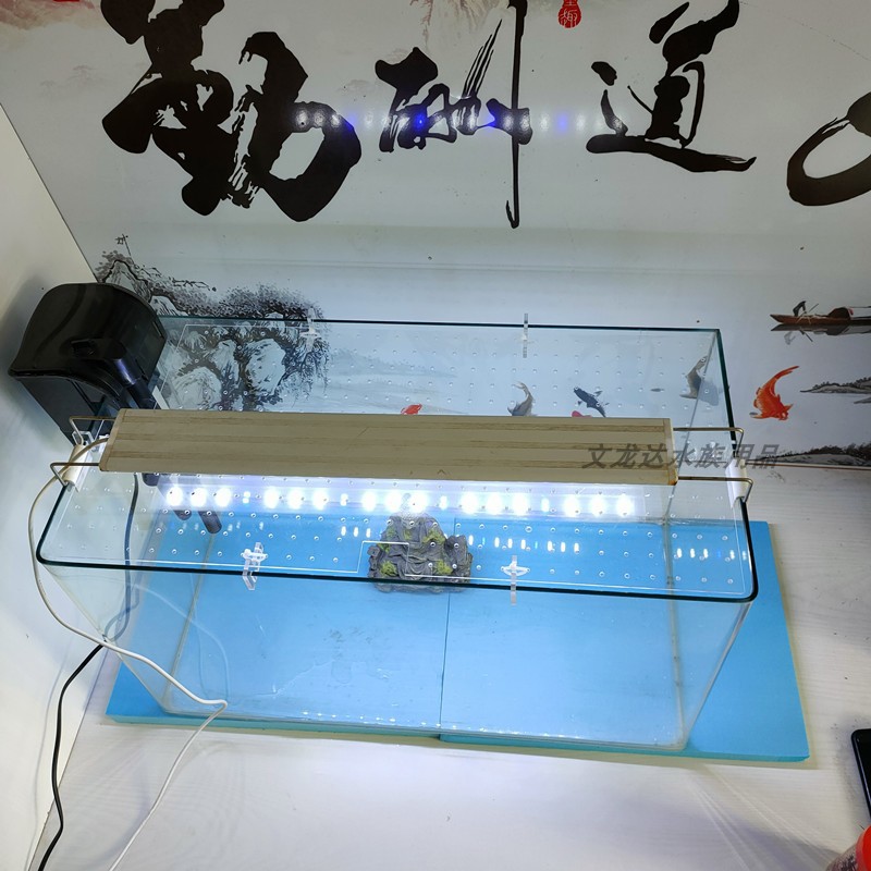 森森魚缸北京專賣店（森森魚缸北京專賣店電話） 觀賞魚市場（混養(yǎng)魚）