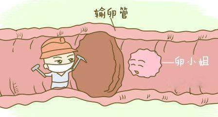 上环为什么会怀孕