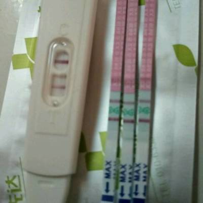 不是排卵期怀孕