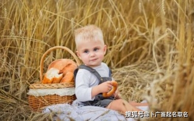 中间带立字的男孩名字