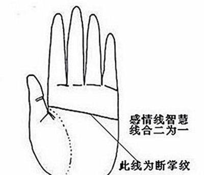 左手断掌的男人命运