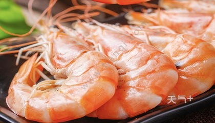 煮熟的虾怎么保存