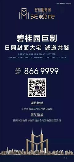 碧桂园 贷款