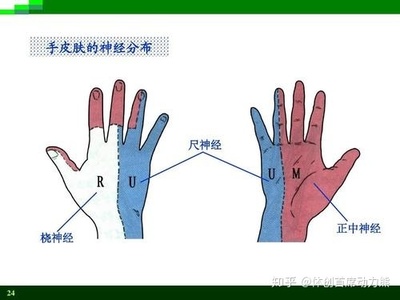 手背麻木是怎么回事