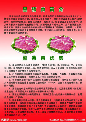 黑猪肉营养价值及功效