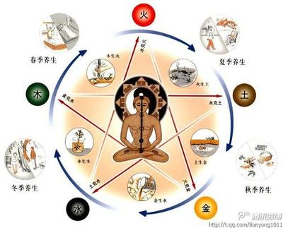 养生五行属什么