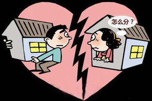 诉讼离婚咨询