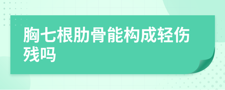 七根肋骨算几级伤残