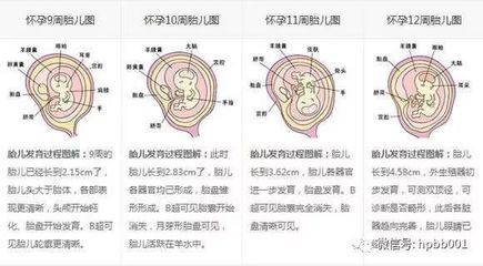 七个月宝宝一周不拉屎