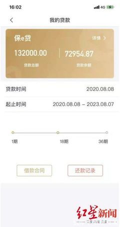 怎样查询贷款还款记录