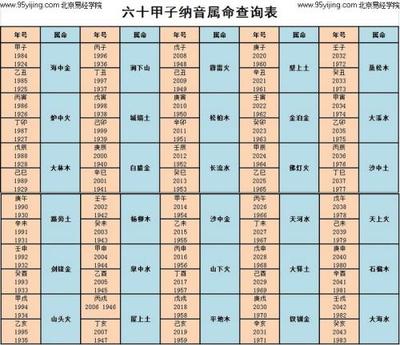 2016五行属什么