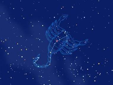太阳星座处女座