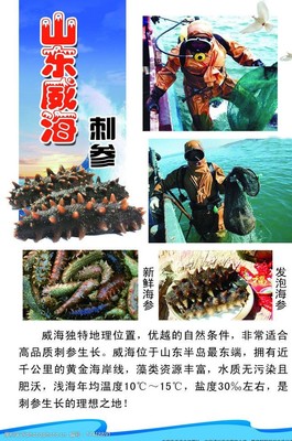 卖海参应该怎么宣传