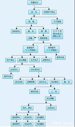 起诉的流程