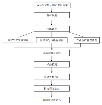 司法鉴定流程