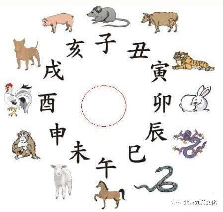 地指什么生肖