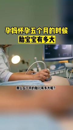 孕五个月胎儿多大