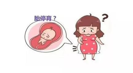 怀孕多长时间能发现