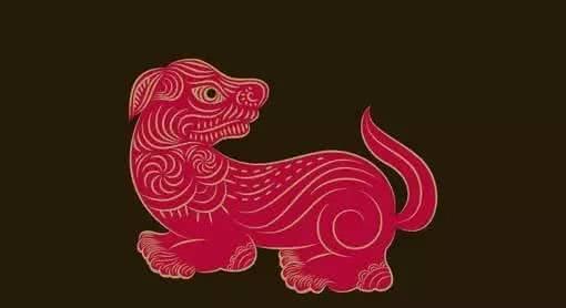 属老鼠和属狗