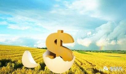 农村农业贷款