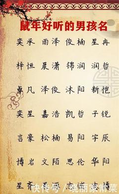 带帅的男孩名字