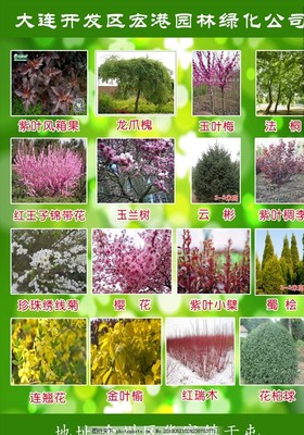 园林名字大全