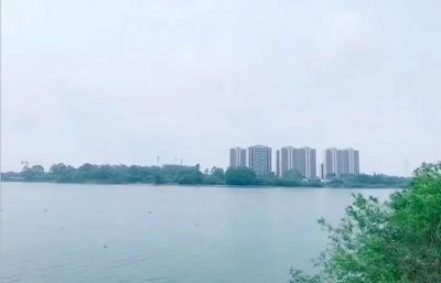 广西合浦最新房价