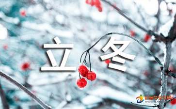 今年几月立冬