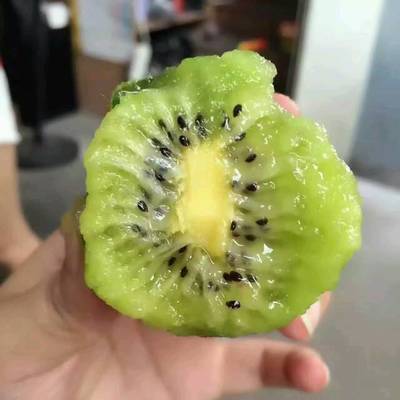 8个月宝宝能吃猕猴桃吗
