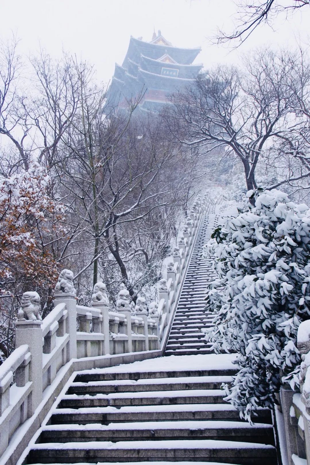 南京下雪了
