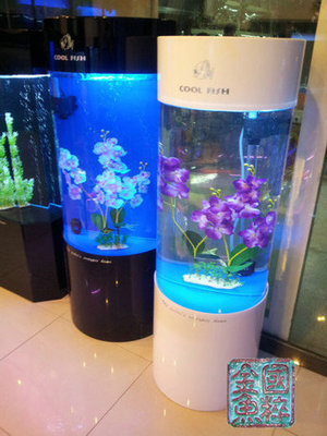 酷鱼鱼缸怎么样