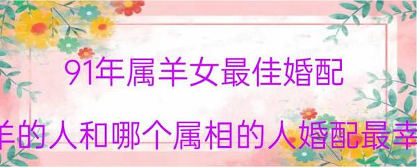 属羊女最佳婚配属相