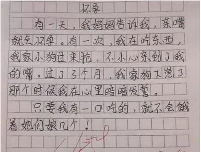 我印象中的小狗500字作文怎么写