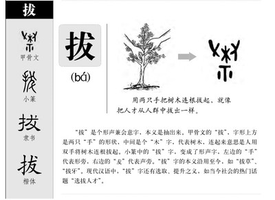 连字五行属什么