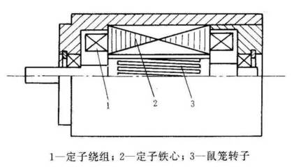 什么是鼠笼型