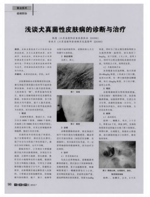 眼真菌感染怎么治疗