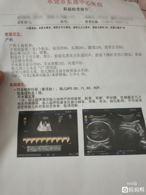 怀孕两周胎儿有多大