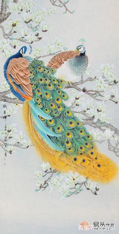孔雀象征着什么寓意
