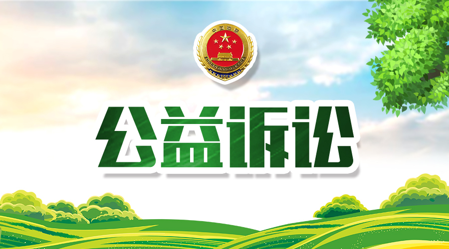 公益诉讼