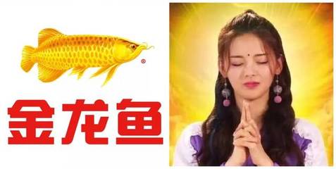 錦鯉魚怎么分公母，錦鯉魚怎么鑒別公母