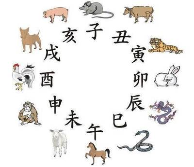 一周生肖运势