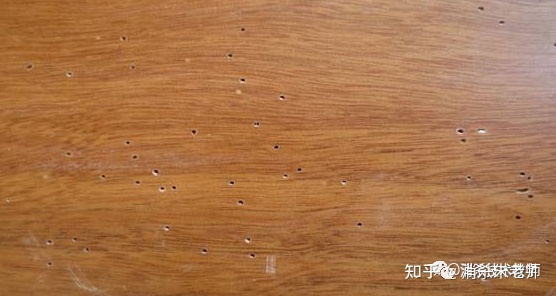 地板虫怎么彻底消灭