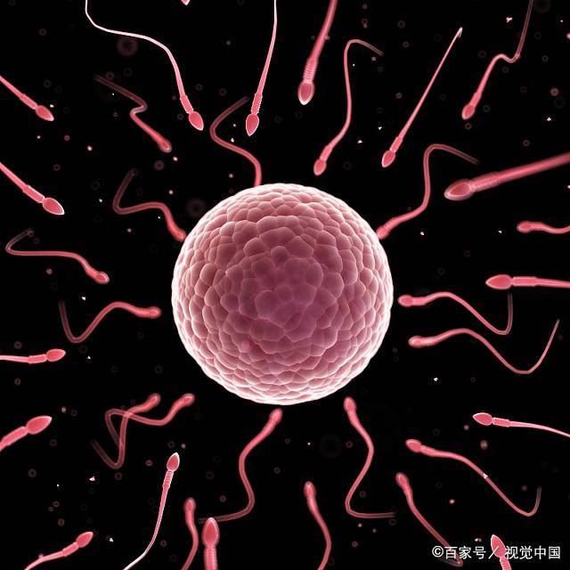 精子有血丝是怎么回事