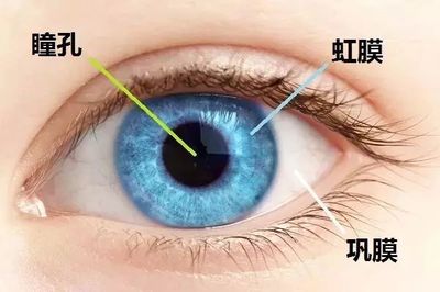 眼真菌感染怎么治疗