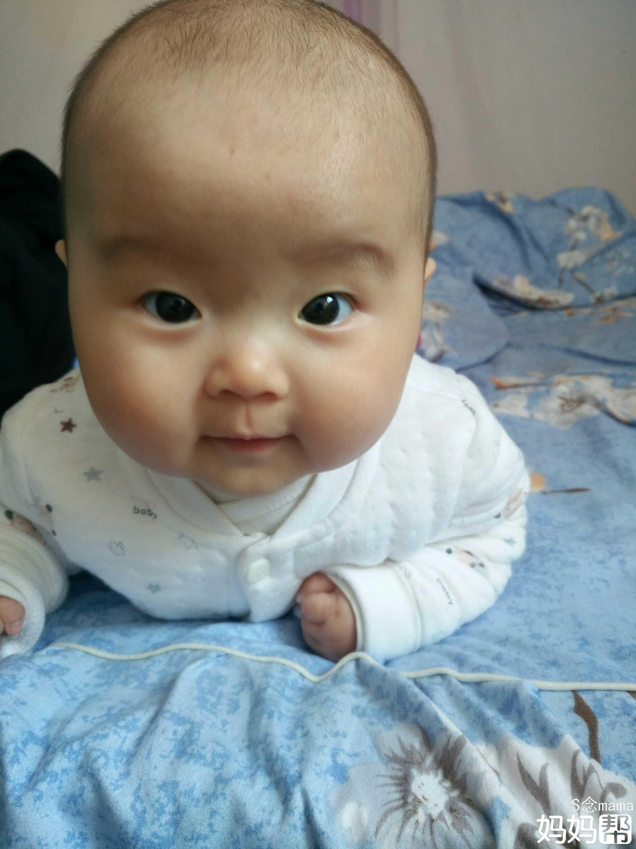 四个月宝宝能吃米粉吗