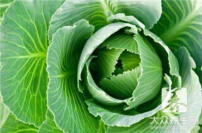 孕妇能吃生菜吗